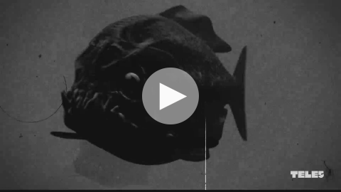 Piranha Triple - Trailer
